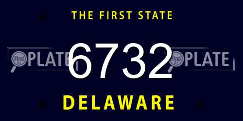 6732 Delaware License Plate