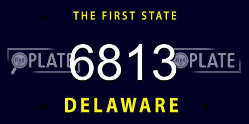 6813 Delaware License Plate