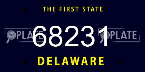 68231 Delaware License Plate