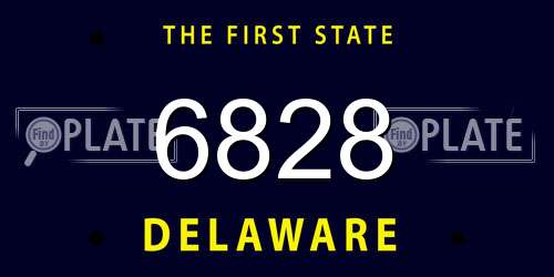 6828 Delaware License Plate