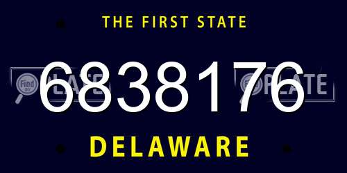 6838176 Delaware License Plate