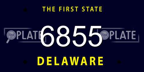 6855 Delaware License Plate