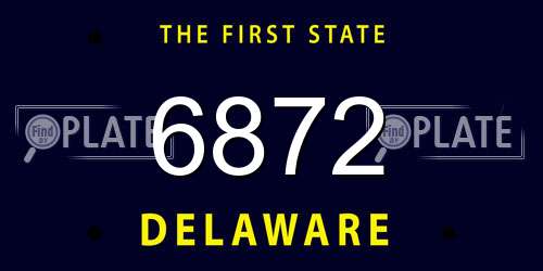 6872 Delaware License Plate