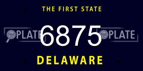 6875 Delaware License Plate