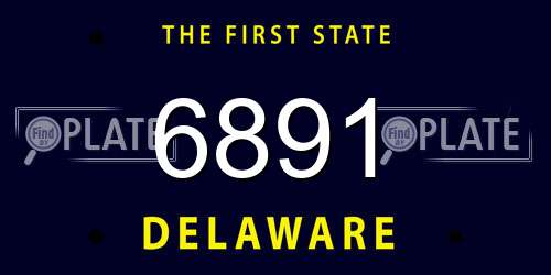 6891 Delaware License Plate