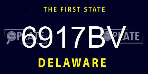 6917BV Delaware License Plate
