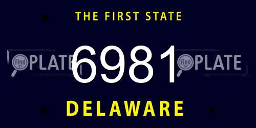 6981 Delaware License Plate
