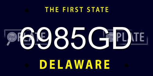 6985GD Delaware License Plate
