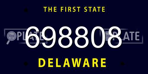 698808 Delaware License Plate