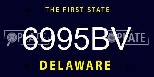 6995BV Delaware License Plate