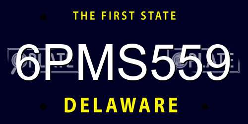 6PMS559 Delaware License Plate