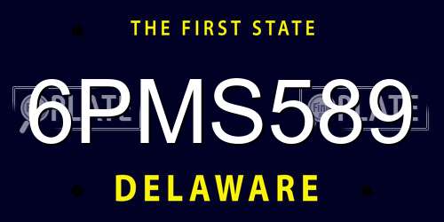 6PMS589 Delaware License Plate