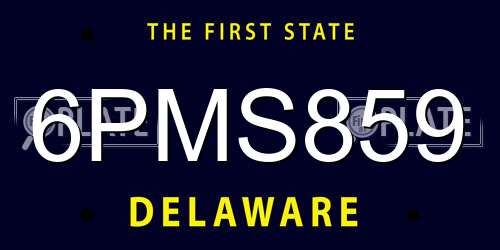6PMS859 Delaware License Plate