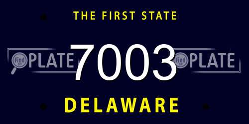 7003 Delaware License Plate