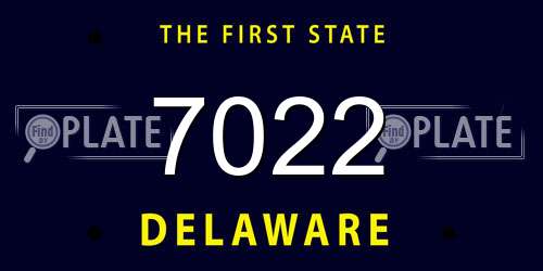 7022 Delaware License Plate