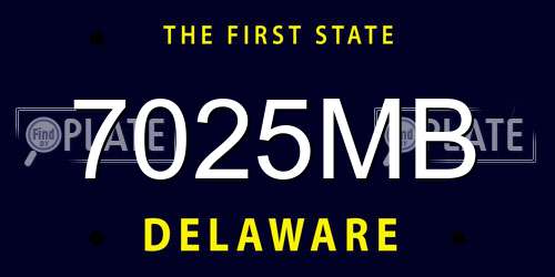 7025MB Delaware License Plate