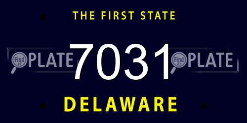 7031 Delaware License Plate