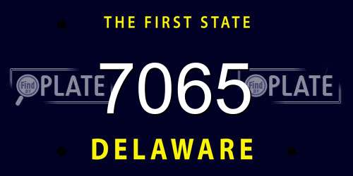 7065 Delaware License Plate