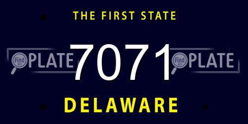 7071 Delaware License Plate