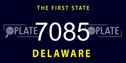 7085 Delaware License Plate