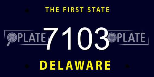 7103 Delaware License Plate