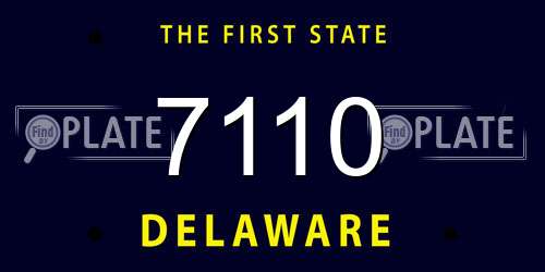 7110 Delaware License Plate