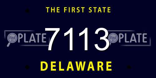 7113 Delaware License Plate