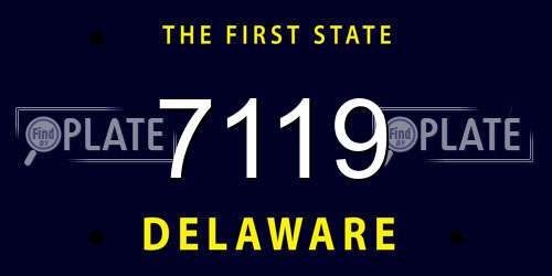 7119 Delaware License Plate