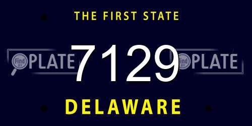 7129 Delaware License Plate