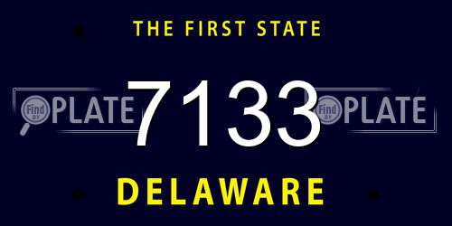 7133 Delaware License Plate