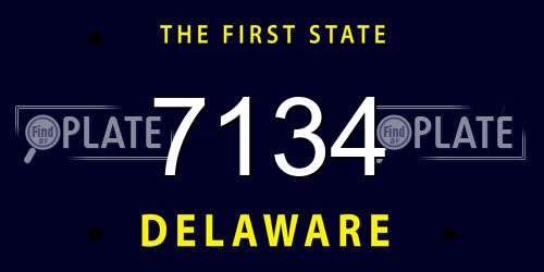 7134 Delaware License Plate