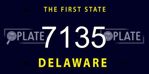 7135 Delaware License Plate