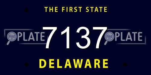 7137 Delaware License Plate