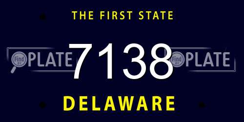7138 Delaware License Plate