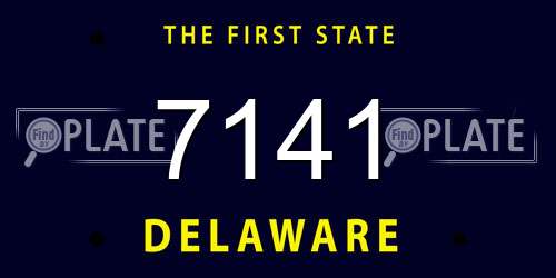 7141 Delaware License Plate