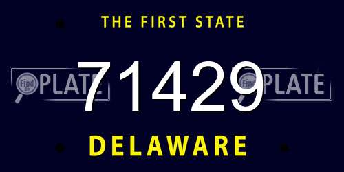 71429 Delaware License Plate