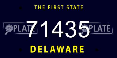 71435 Delaware License Plate