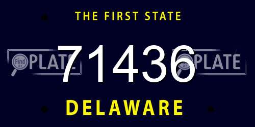 71436 Delaware License Plate