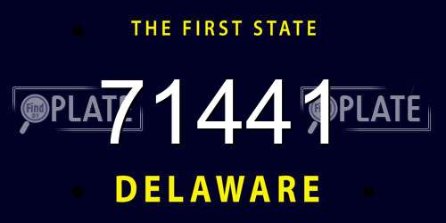 71441 Delaware License Plate