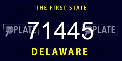 71445 Delaware License Plate