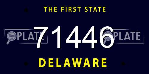 71446 Delaware License Plate