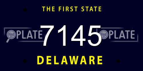 7145 Delaware License Plate