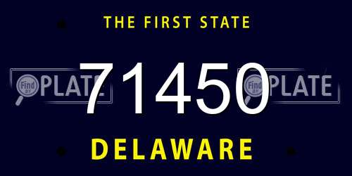 71450 Delaware License Plate