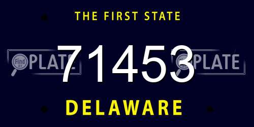 71453 Delaware License Plate