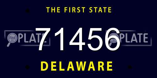71456 Delaware License Plate