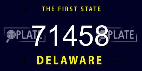 71458 Delaware License Plate