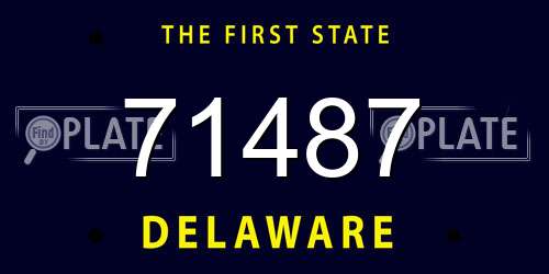 71487 Delaware License Plate