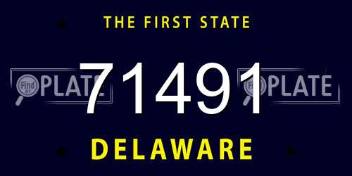 71491 Delaware License Plate