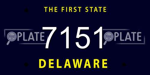 7151 Delaware License Plate