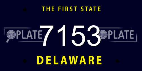 7153 Delaware License Plate